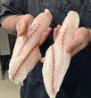 Frozen Rockfish Portions (3lb @ $8.75/lb)